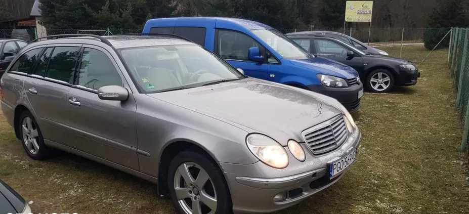 mercedes benz Mercedes-Benz Klasa E cena 15900 przebieg: 358926, rok produkcji 2005 z Górzno